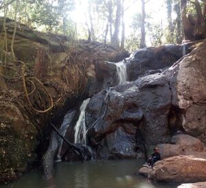 karura forest