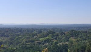 kakamega forest